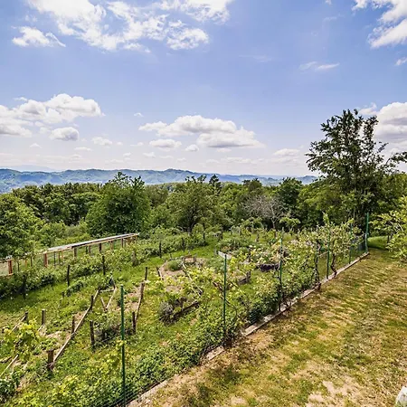 Hidden Authentic Haven - Two Bedroom With Balcony * Sevnica